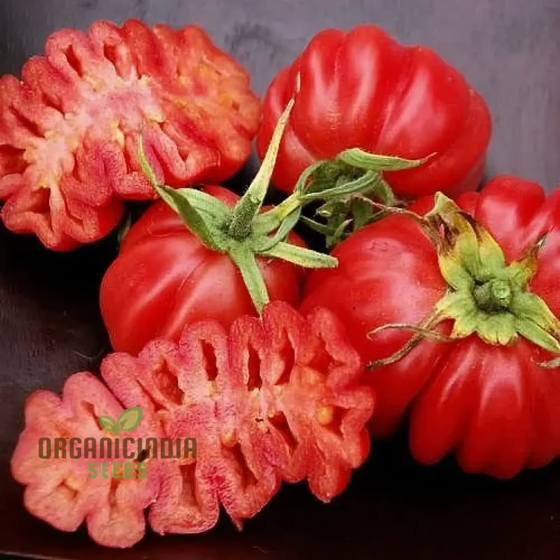 Tomato Pink Accordion Seeds for Gardening | Premium Heirloom Tomato Seeds for Your Garden