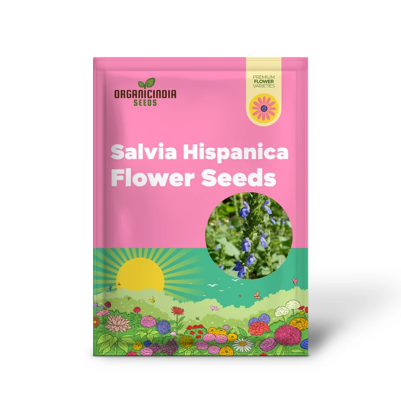 Organic Salvia Hispanica (Chia) Flower Seeds for Planting,Premium Quality Seeds for Planting and Healthy Gardens