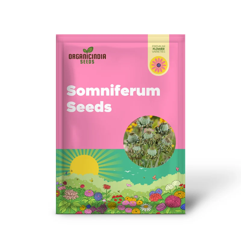 Papaver Somniferum 'Hens and Chickens' Seeds for Exquisite Garden Blooms | High-Quality Gardening Seeds