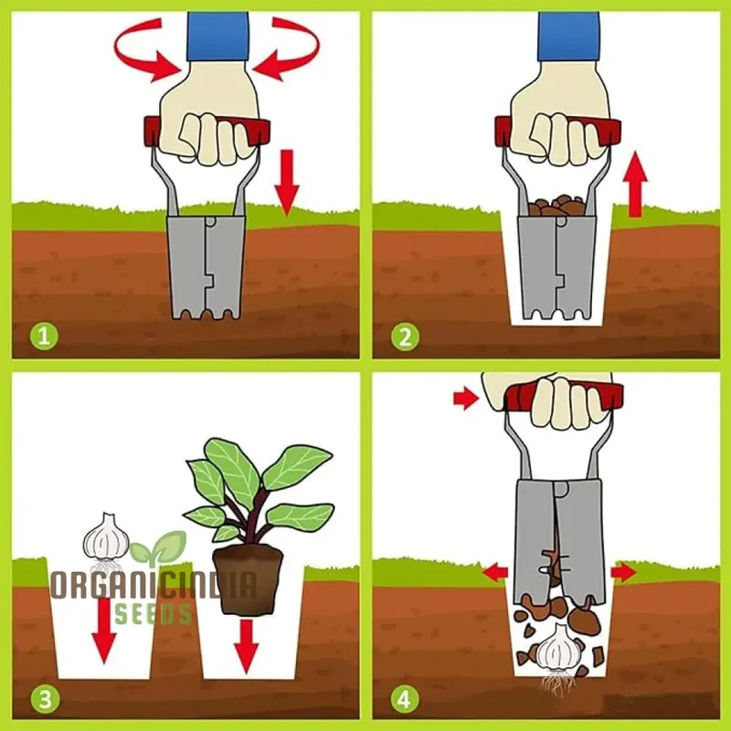Depth Mark Bulb Planter - Perfect for Transplanting Bulbs, Digging, and Automatic Soil Release Seed Planting Tool for Tulips, Daffodils, Dahlias, and More