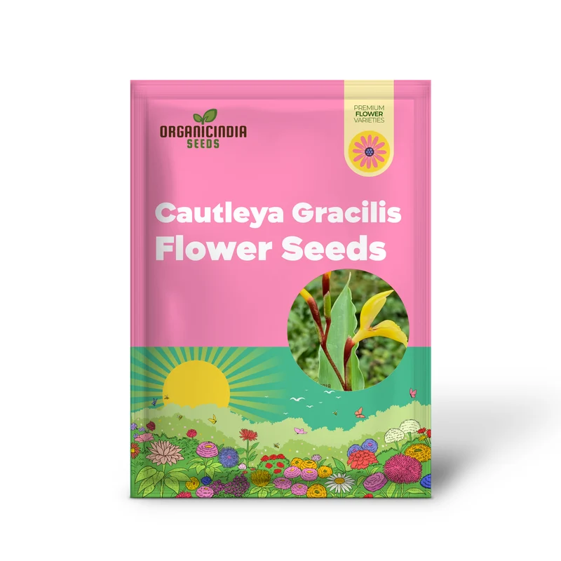 Cautleya Gracilis Flower Seeds for Planting, Premium Quality Seeds for Gardening
