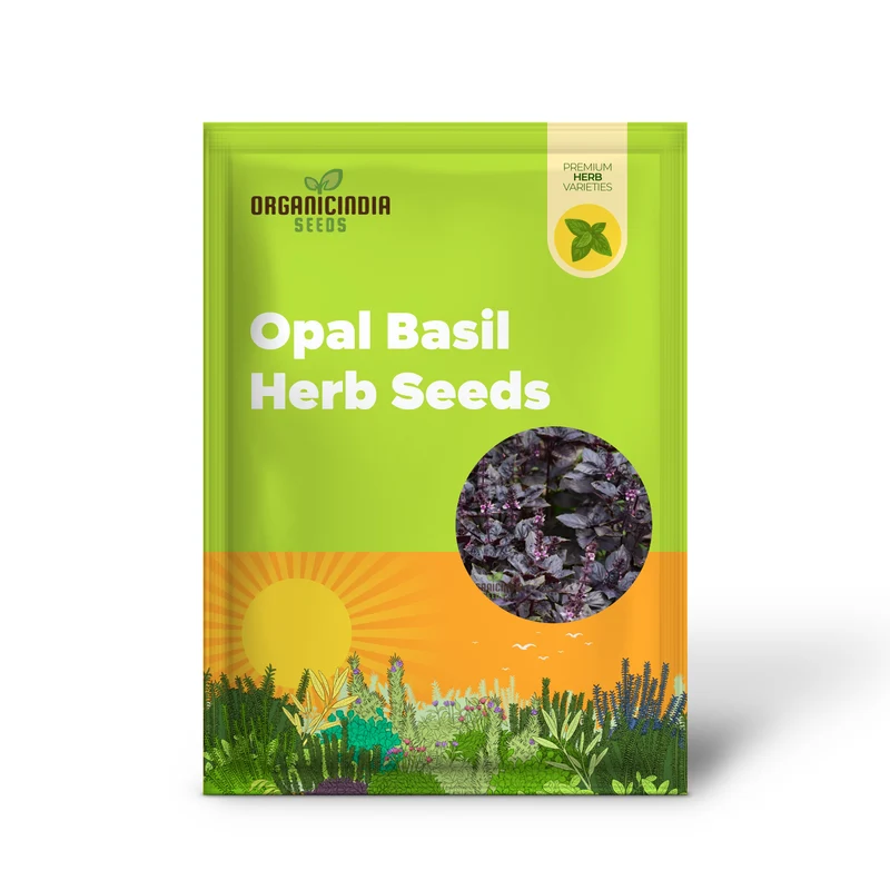 Purple Dark Opal Basil Seeds – Heirloom Aromatic Herb for Culinary & Ornamental Gardening
