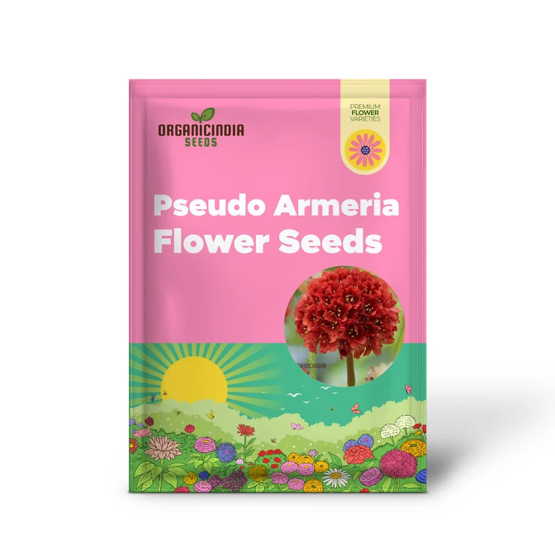 Armeria Seeds (Ballerina Red Armeria Seeds) - Vibrant Blooms and Hardy Perennial for Colorful Displays