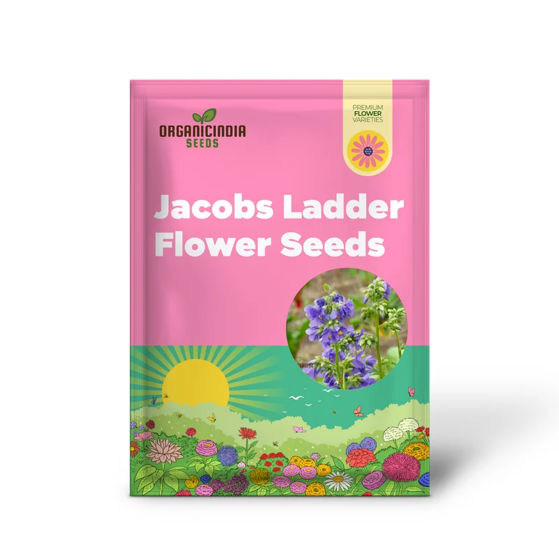 JACOBS LADDER Flower Seeds: Premium Climbing Plants for Vertical Garden Spaces