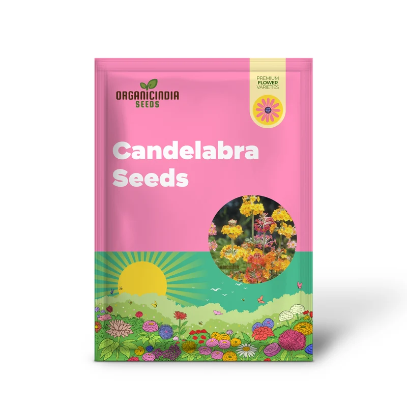 Primula Candelabra Mixed Seeds - Cultivate a Stunning Array of Colors with Candelabra Mixed Primula in Your Garden