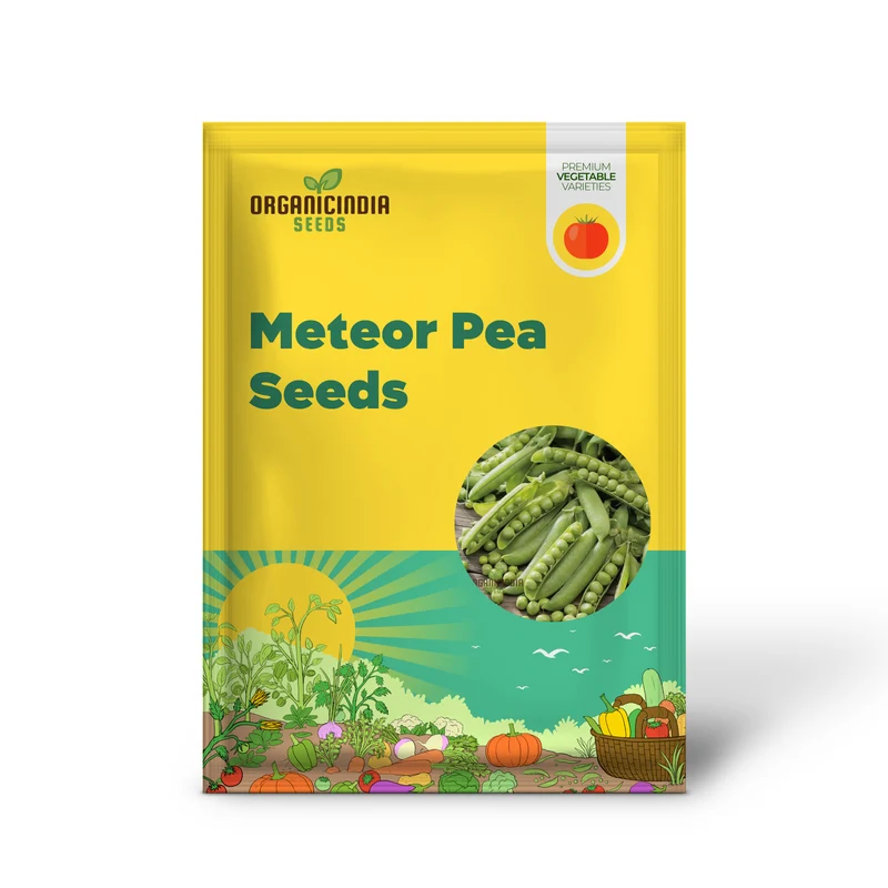 Meteor Pea Vegetable Seeds, Heirloom Snow Pea Variety for Home Gardening High Germination Rate, Easy to Grow