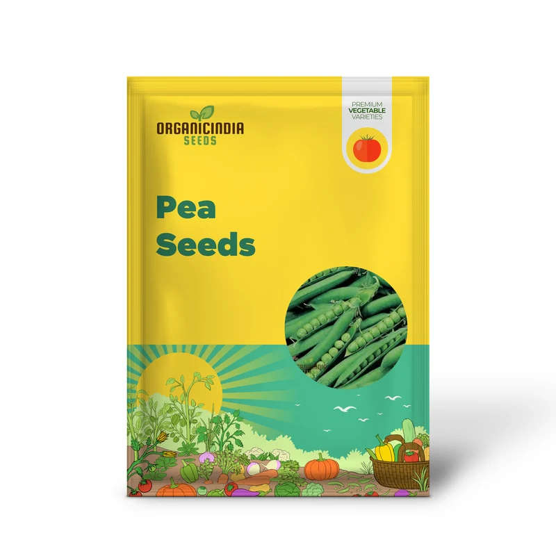 Hurst Green shaft Pea Seeds, Heirloom English Garden Vegetable Seeds, Early Harvest Ideal for Home Gardening