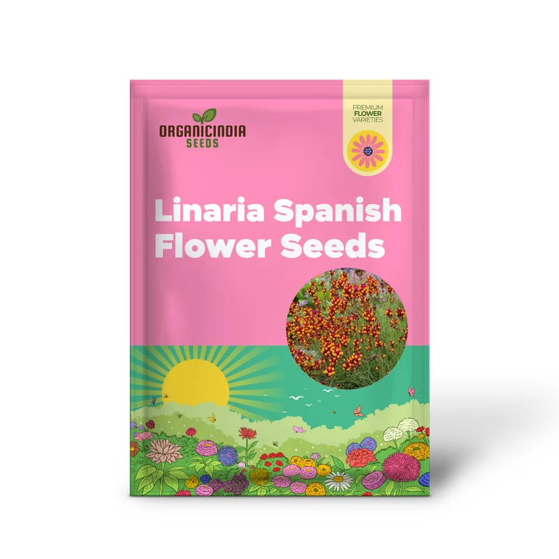 Linaria Spanish Dancer Flower Seeds, Brighten Your Garden with Colorful Blooms Using Expert Seed Planting and Gardening Techniques