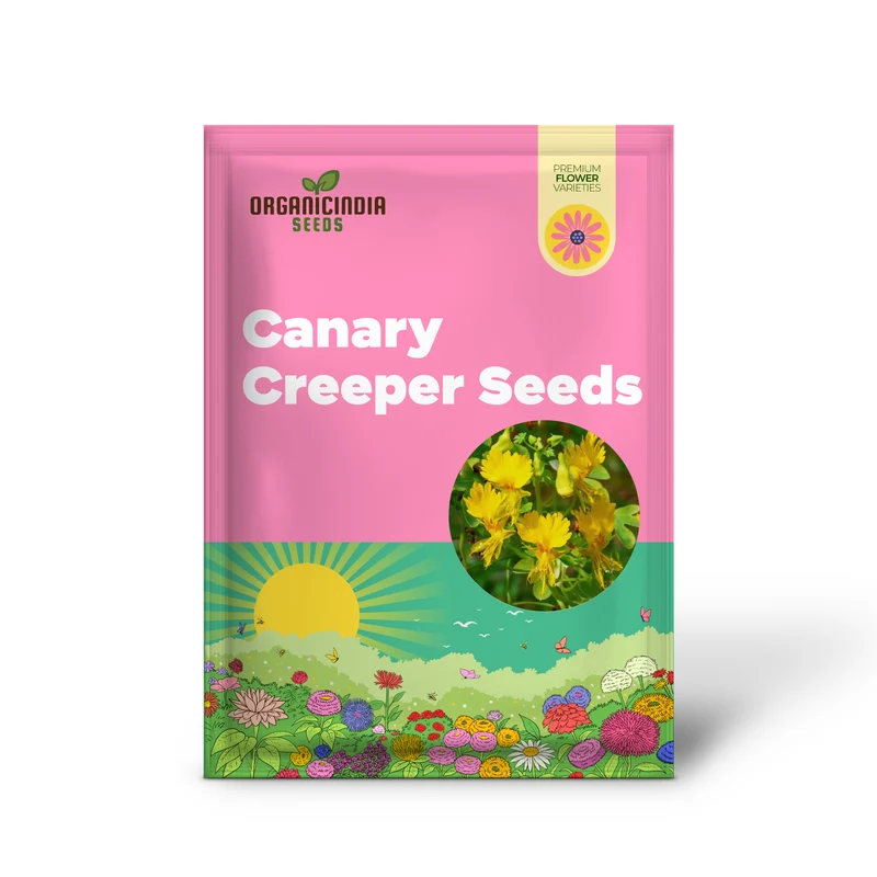 Canary Creeper (Tropaeolum peregrinum) Seeds for Vibrant Blooms and Lush Greenery in Your Gardening Oasis!