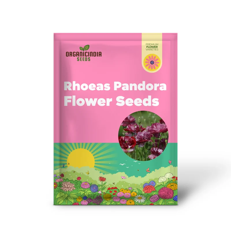 Papaver (Poppy Seeds) Rhoeas Pandora Flower Seeds for Planting-Grow Charming and Colorful Pandora Poppy Flowers in Your Garden
