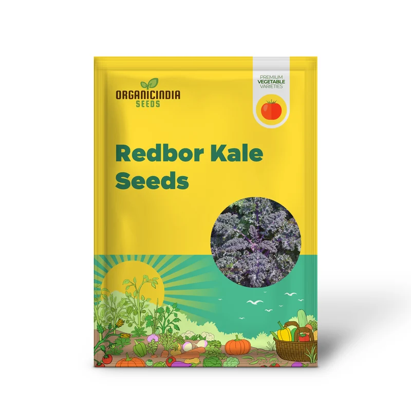 Redbor Kale Seeds - Grow Nutritious and Vibrant Red Kale in Your Garden