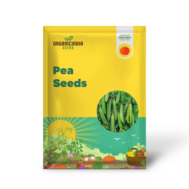 Early Onward Pea Seeds, Heirloom Garden Vegetable Seeds for Early Harvest, Ideal for Home Gardening