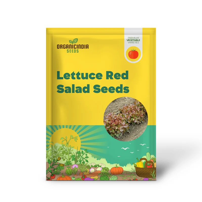 Organic Lettuce Red Salad Bowl Seeds for Planting - Perfect for Home Gardening, Fresh Salads, and Abundant Harvests
