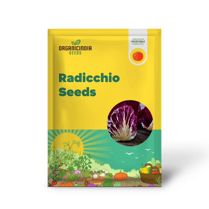 Rossa di Verona Radicchio Seeds for a Bounty of Fresh, Nutrient-Packed Greens Straight from Your Garden!