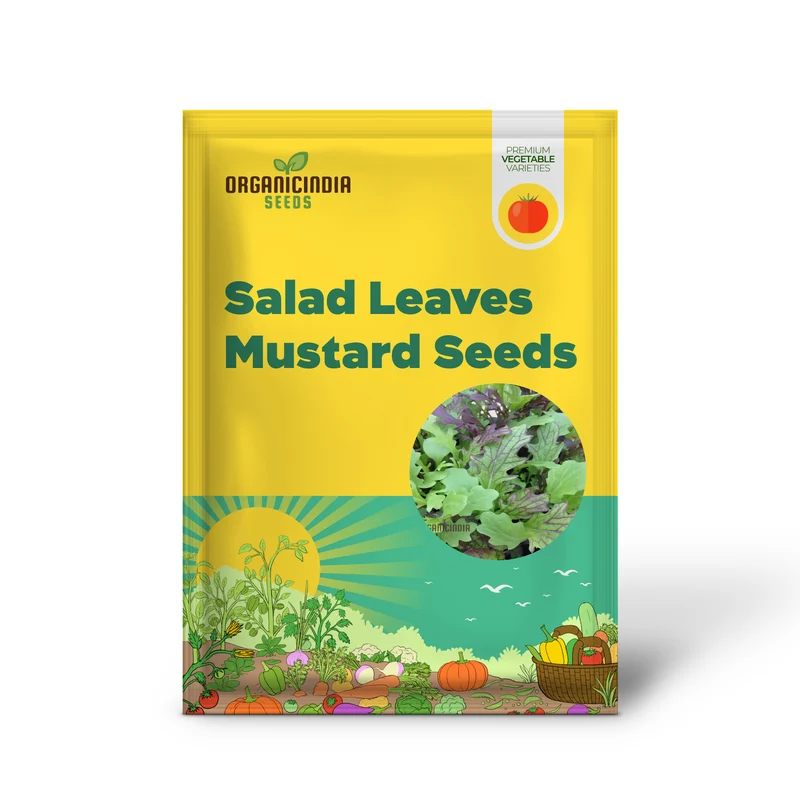 Salad Leaves Mustard Mix Seeds for a Diverse Array of Fresh, Flavorful Greens â€“ Perfect for Your Homegrown Culinary Creations!