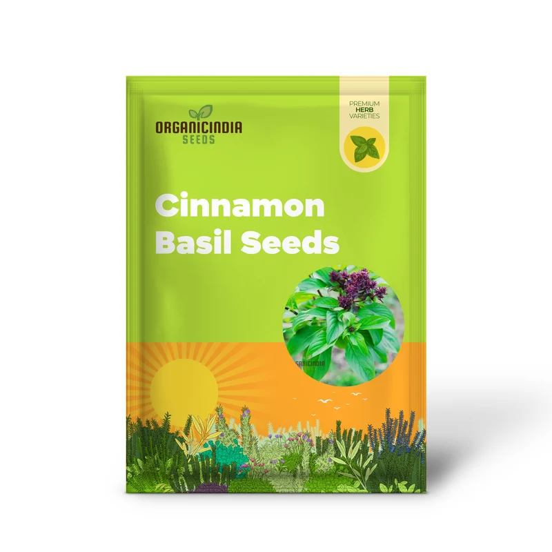 Cinnamon Basil Seeds – Aromatic, Non-GMO Culinary Herb Variety