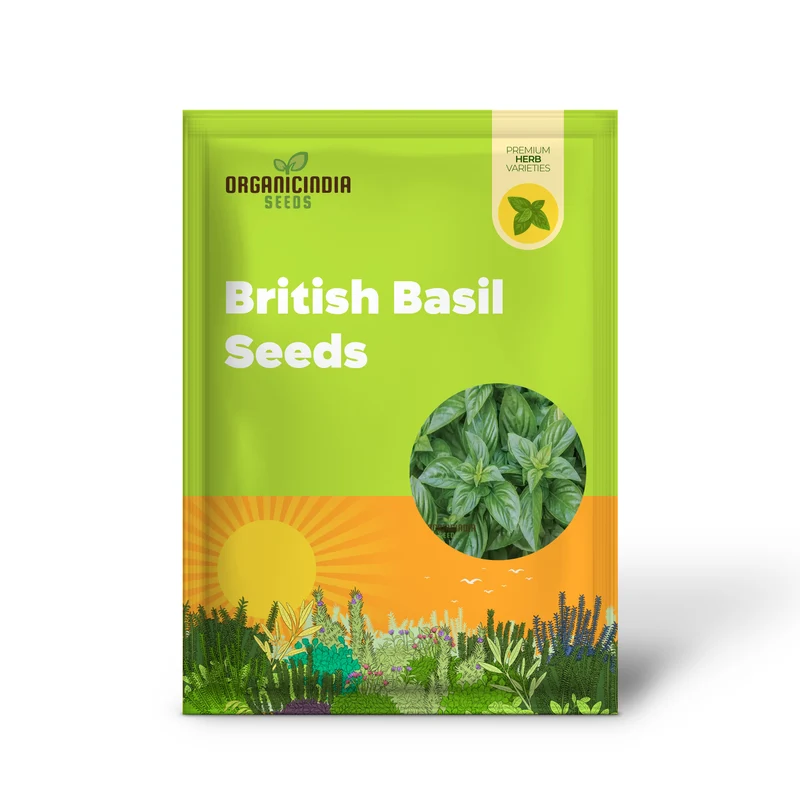 British Basil Seeds for Planting – Premium Organic, Fresh Aromatic Herb Variety