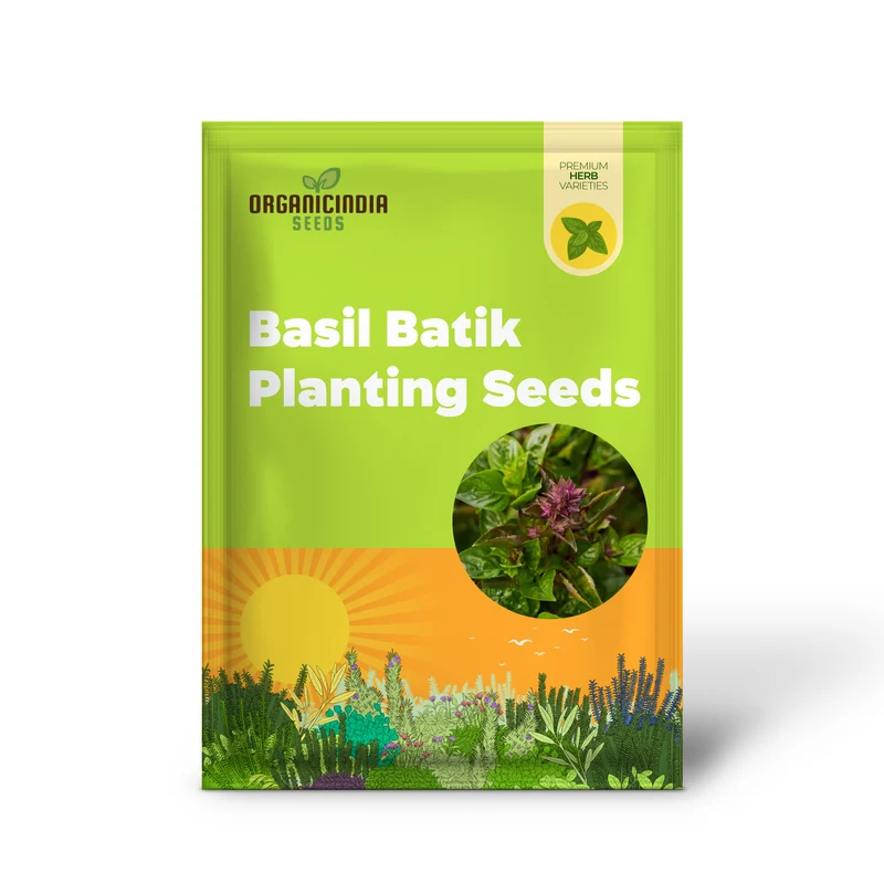 Basil Batik Seeds for Planting – Premium Organic, Aromatic & Flavorful Herb Variety