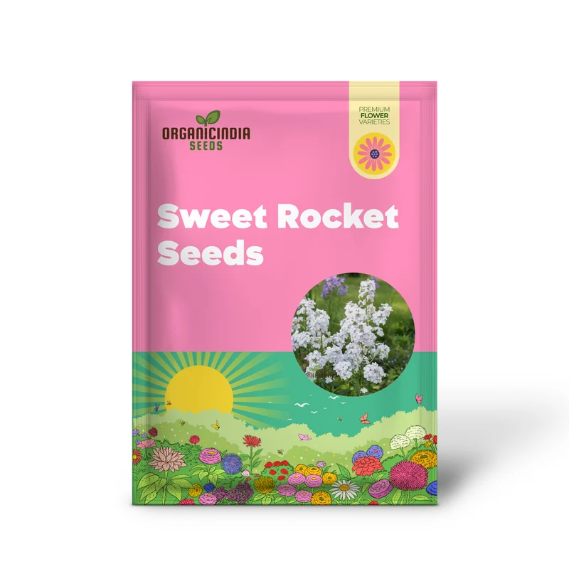 Sweet Rocket Seeds For Planting: Discover Fragrant Blooms and Beauty for Your Outdoor Oasis"