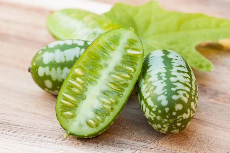 Cucamelon Seeds for a Fun and Flavorful Addition to Your Garden, Elevate Your Gardening Experience with These Tiny, Crunchy Delights!
