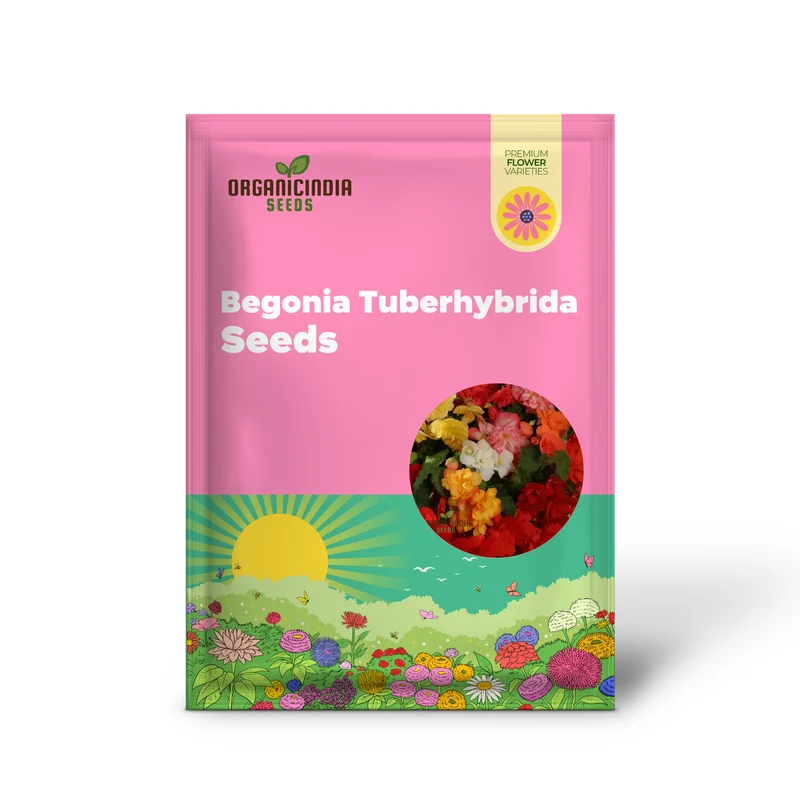 Begonia Tuberhybrida Chanson Mixed F1 Seeds – Vibrant Mixed Bloom Variety