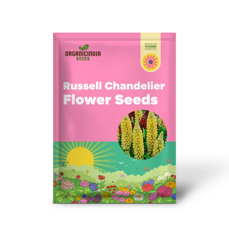 Lupin Russell Chandelier Yellow Seeds – Premium Lupine Variety for Vibrant Garden Displays