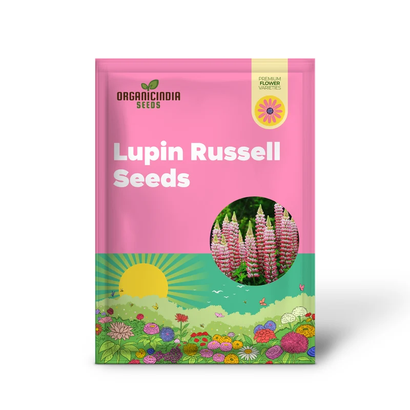 Lupin Seeds (Lupin Russell 'The Chatelaine' Seeds) - Pink Timeless Blooms for Gardens