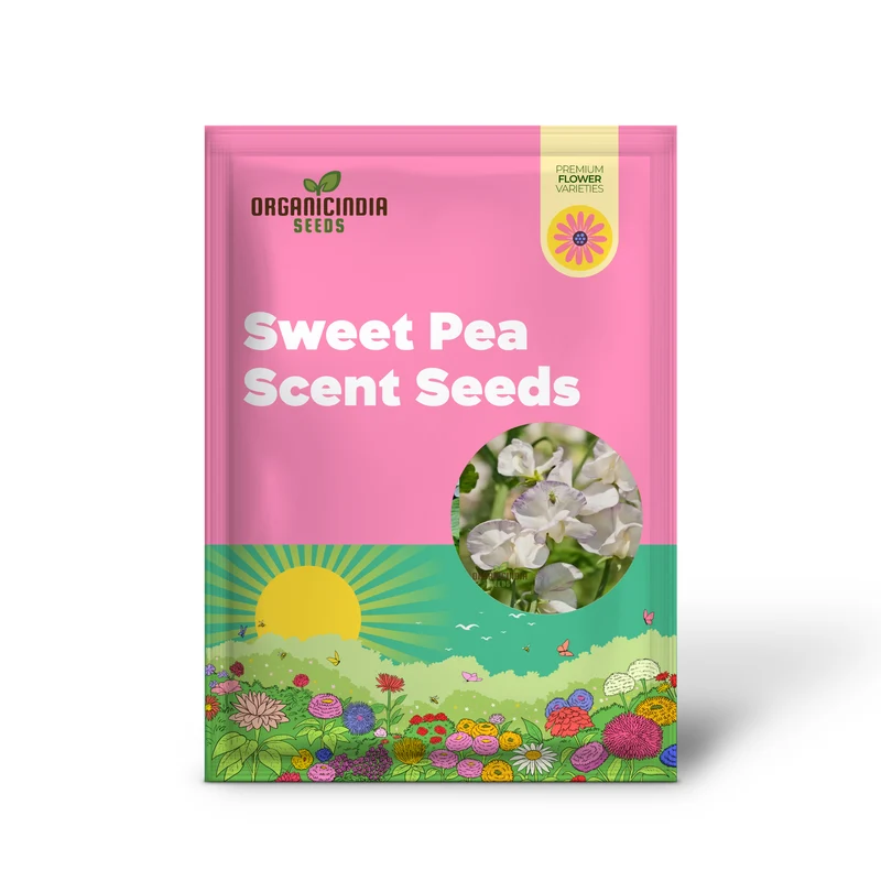 White Sweet Pea Seeds – High Scented Fragrant Garden Blooms