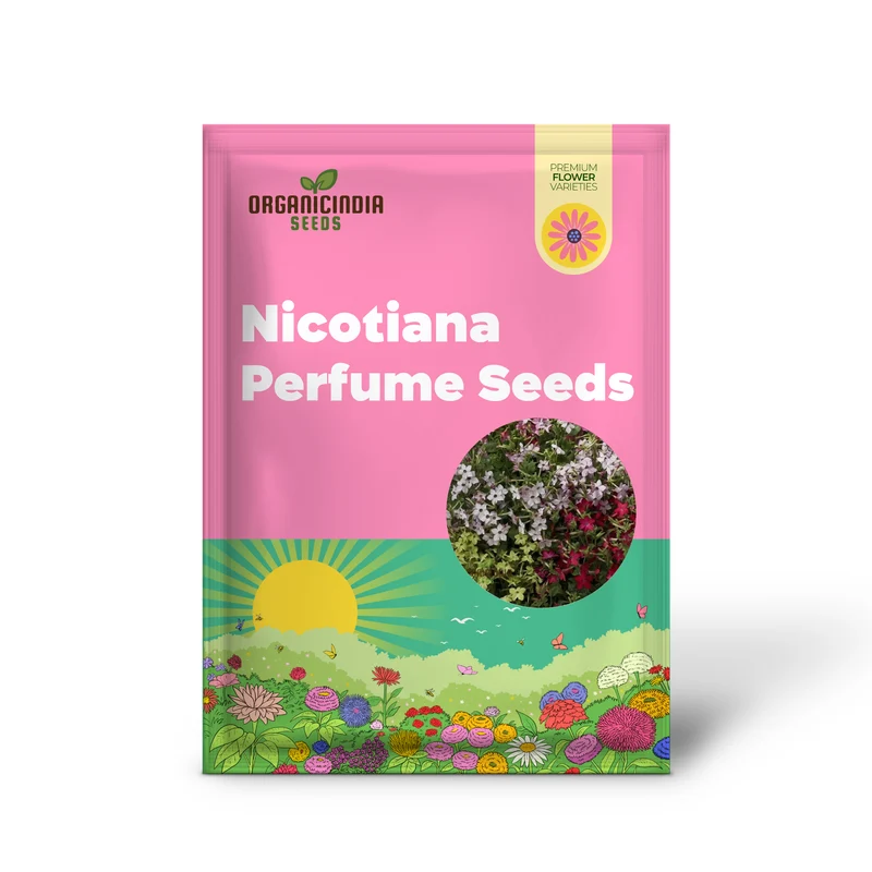 Nicotiana Perfume Mixed F1 Seeds - Grow Fragrant and Colorful Flowers in Your Garden