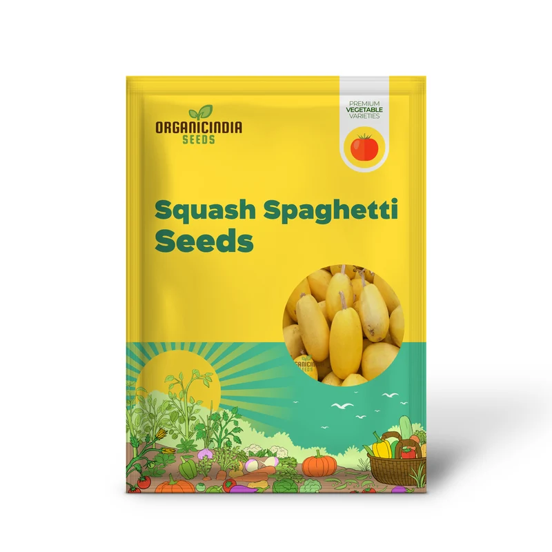 Winter Squash Spaghetti Seeds, Heirloom Vegetable Seeds for Planting in Your Garden