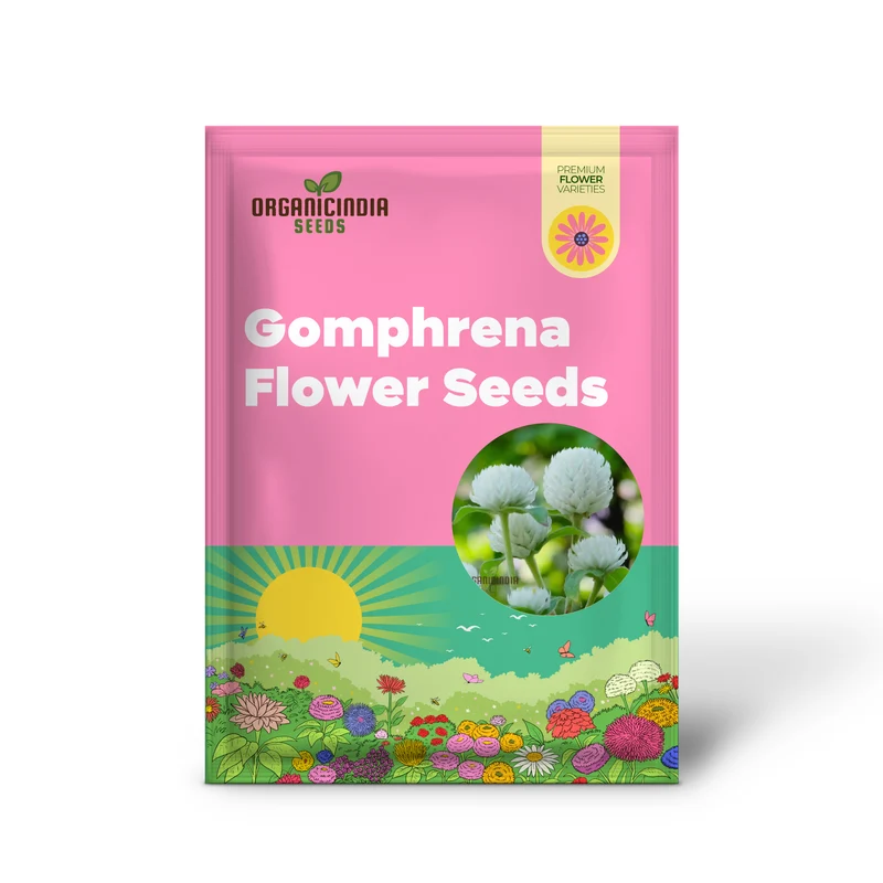 Gomphrena White Seeds – Premium Globe Amaranth Variety for Elegant Garden Blooms