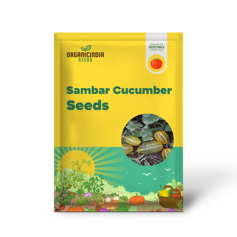 Sambar Cucumber Seeds, Premium High Yield, Disease Resistant, Ideal for Home Gardening