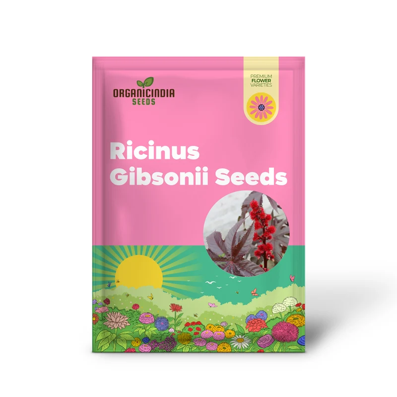 Ricinus Gibsonii Seeds – Ornamental Castor Plant
