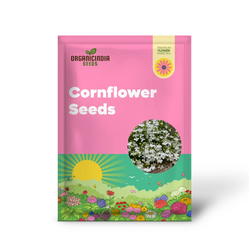 Cornflower 'Lobelia White Lady' Seeds for Exceptional Gardening â€“ Cultivated with Care for a Stunning Garden Display
