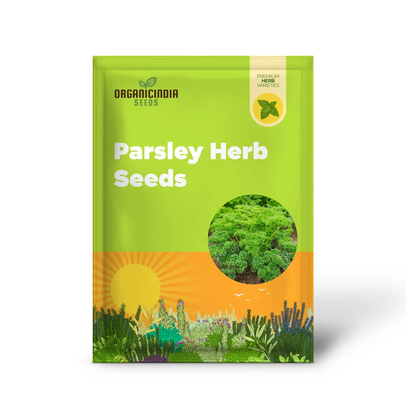 Green Parsley Herb Seeds – Fresh, Flavorful, Easy-Growing Culinary Herb for Home & Garden