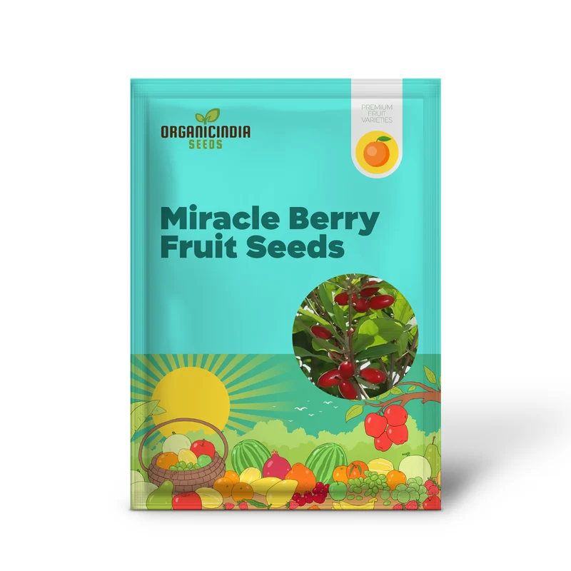 Tropical Miracle Berry Fruit Seeds, Exotic Flavor-Changing Delight for Your Garden
