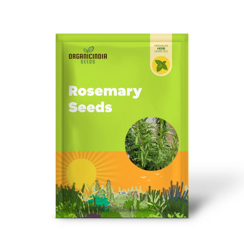 Organic Rosemary Seeds, Fragrant Culinary Herb for Garden, Aromatic, Easy-to-Growing plant