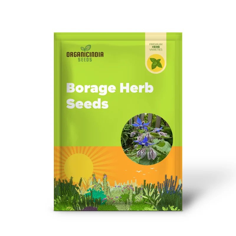 Borage Herb Seeds – Premium Quality Seeds for a Vibrant Herbal Garden