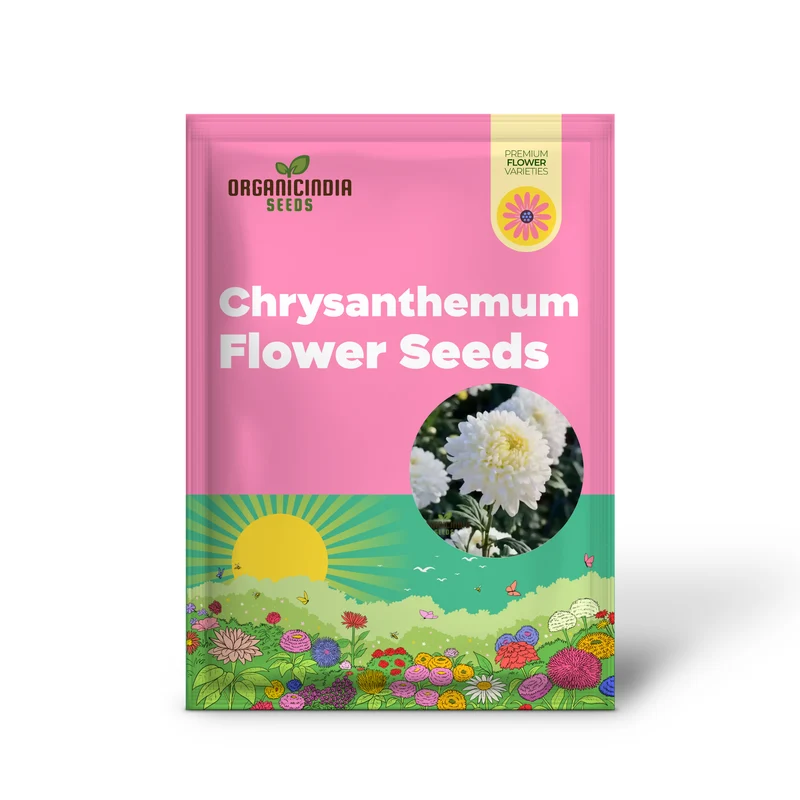 White Chrysanthemum Flower Seeds for Gardening Enthusiasts - Perfect for Your Blooming Garden