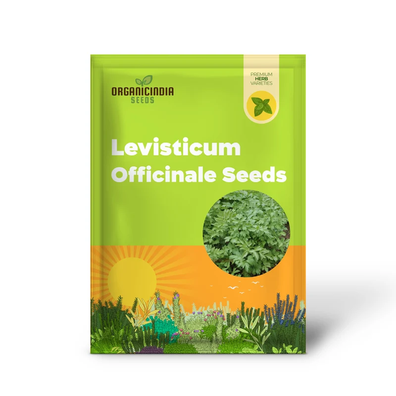 Lovage Seeds – Aromatic, Hardy, and Flavorful Herb for Home Gardens