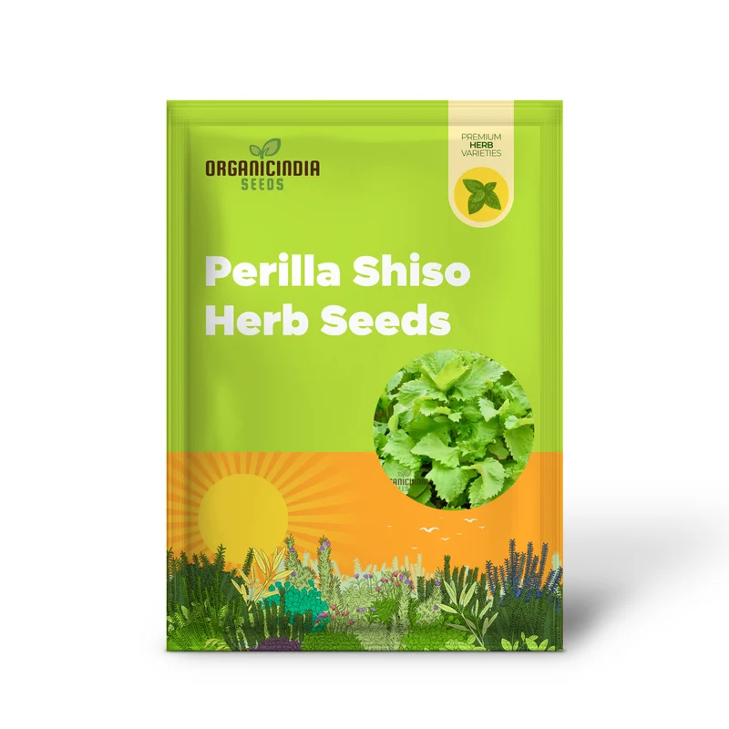 Perilla Shiso Green Seeds – Aromatic Asian Herb for Fresh Culinary Use