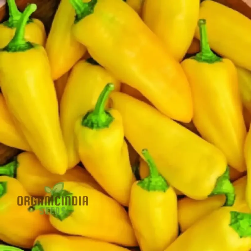 Sweet Pepper Lemon Dream Vegetable Seeds, Vibrant Color Sweet Flavor Perfect for Garden