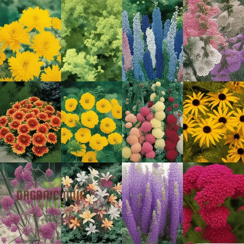 Flower Bulbs (Spring Bulbs Mixed Collection) - Hardy Perennial Cottage Garden Blooms