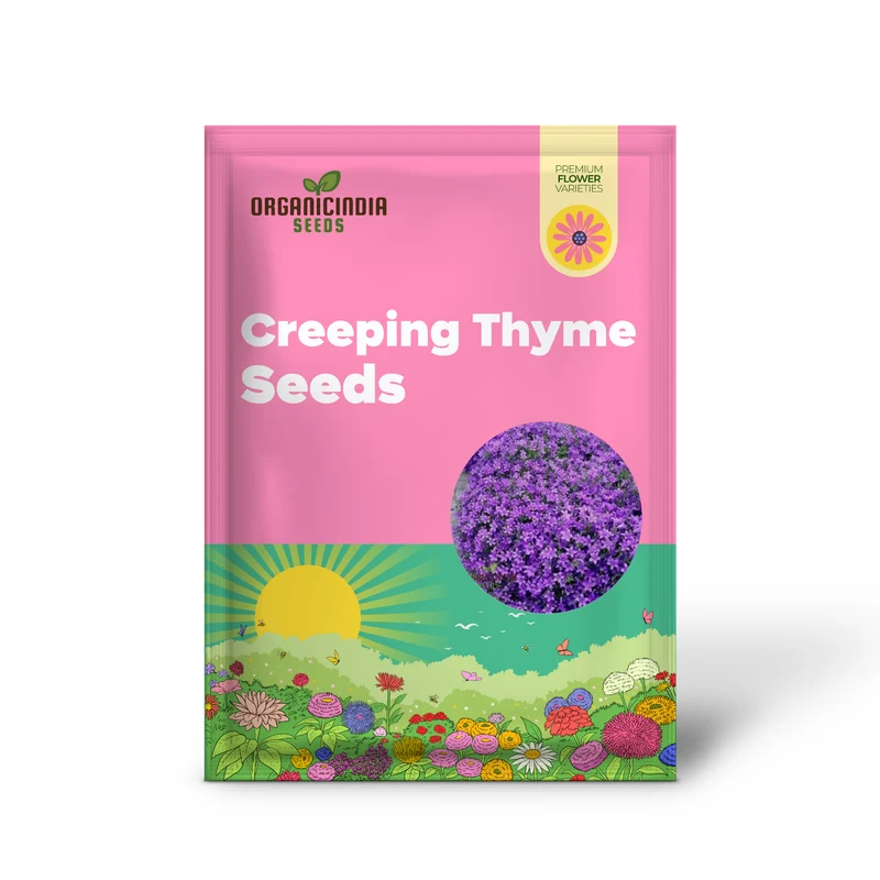 Magic Creeping Thyme Seeds Creeping Thyme Seeds Dwarf Ground Cover Plants Seeds Easy to Plant and Grow Non-GMO Seeds