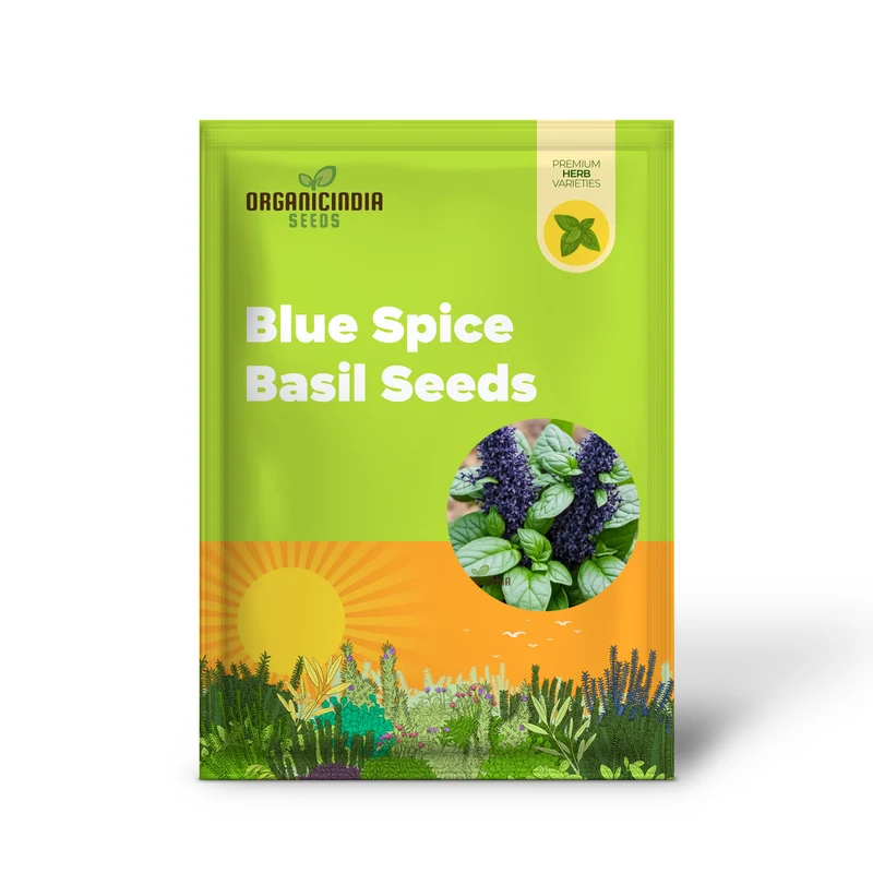 Blue Spice Basil Seeds, Fragrant Perennial Herb - Elevate Your Culinary Creations