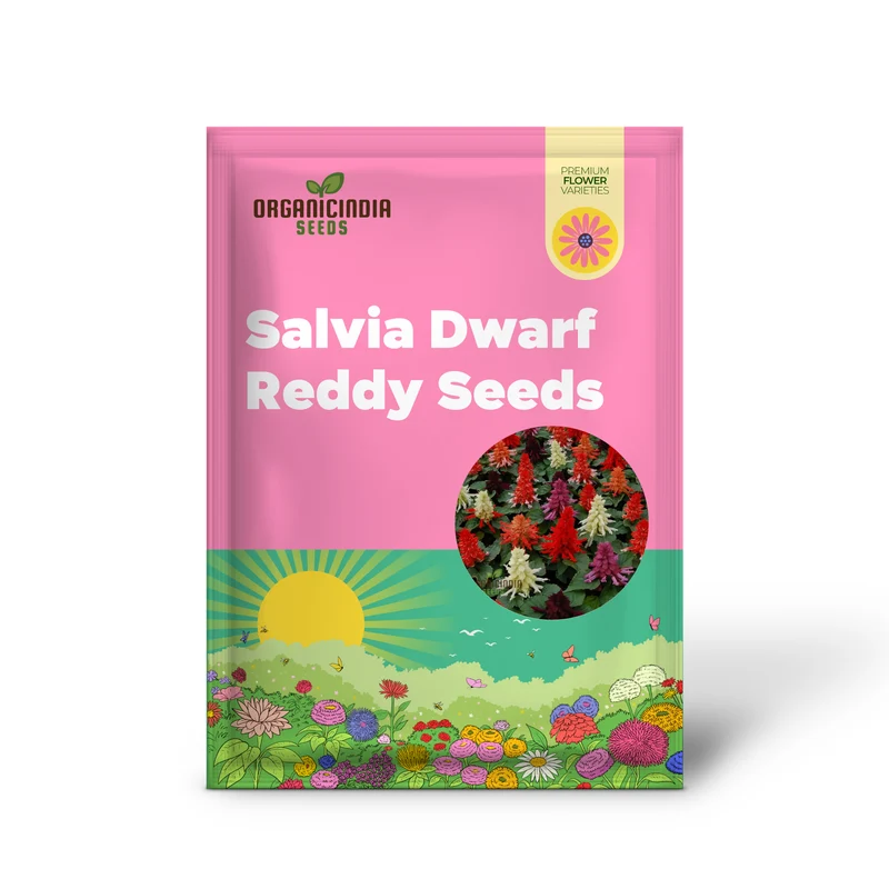 Salvia Dwarf Reddy Formula Mixed Seeds – Compact Hybrid Variety for Vibrant Garden Blooms