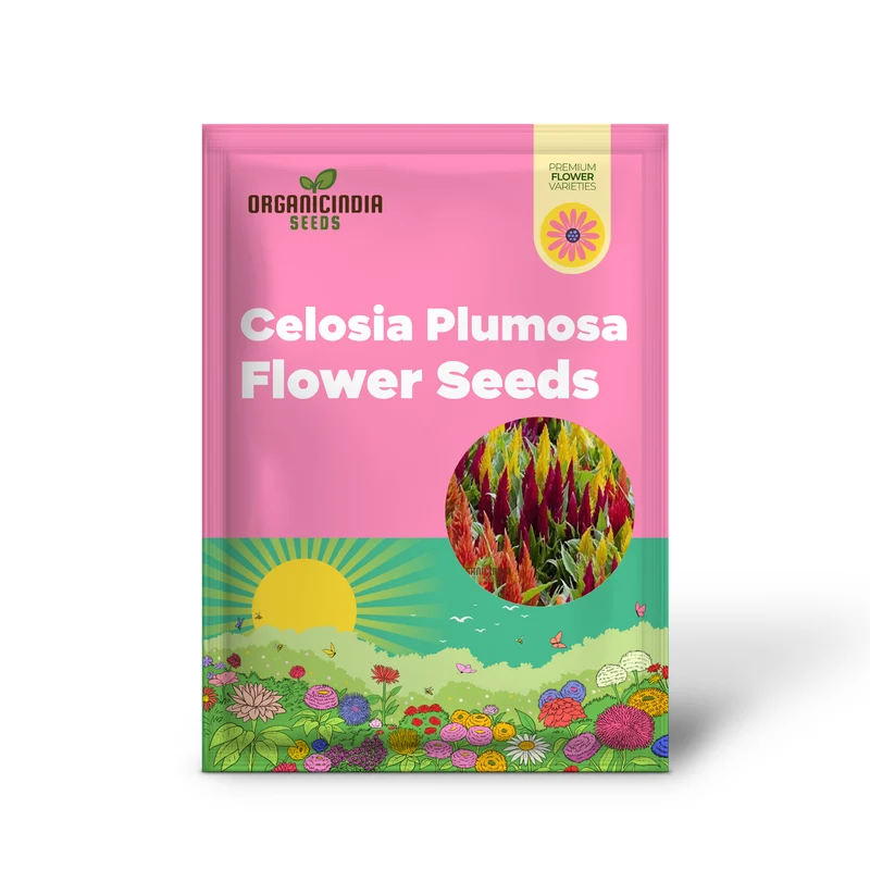 Celosia Plumosa Pampus Mixed Flower Seeds, Vibrant Colors, Long-Lasting Blooms, Ideal for Gardening
