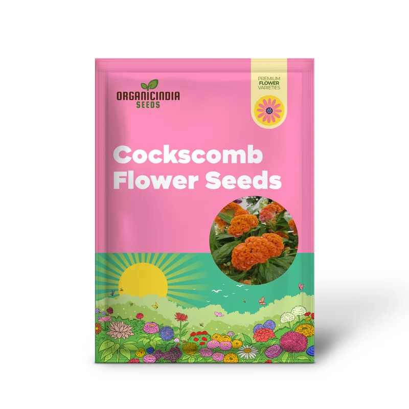Orange Cockscomb Flower Seeds for Planting – Crested Celosia Blooms for Garden Beds, Borders, Pots, Balcony Containers & Outdoor Landscaping