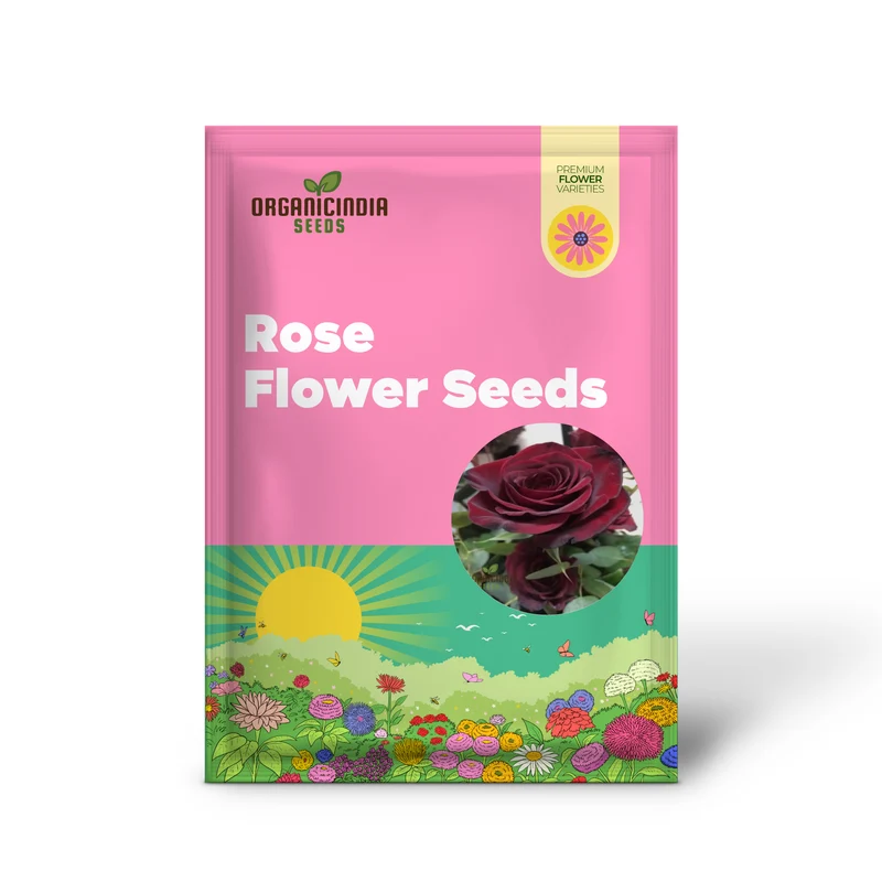Black Rose Seeds – Red-Edged Unique Garden Blooms