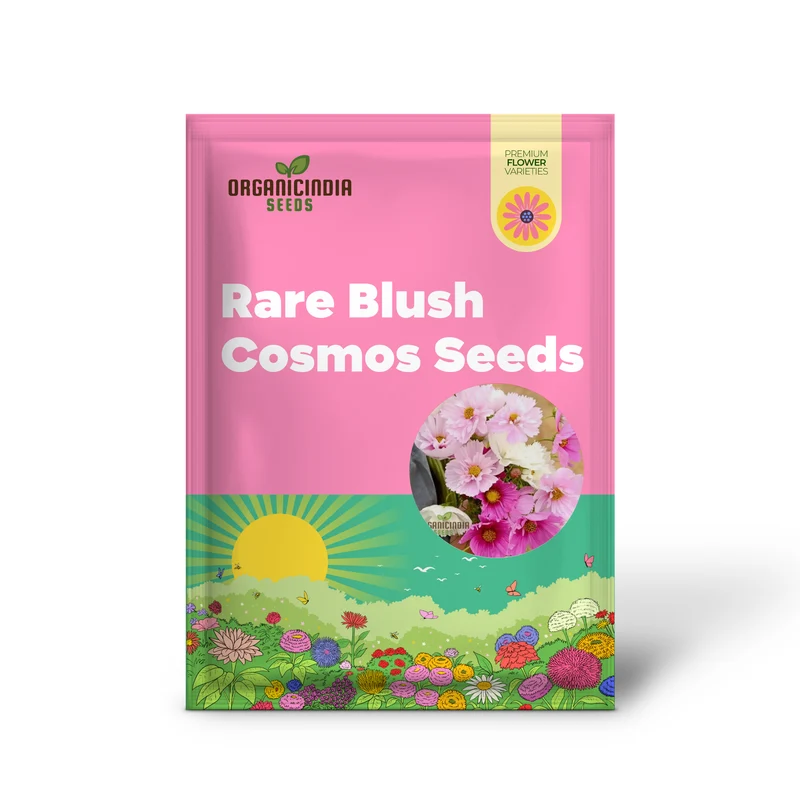 Cosmos Seeds (Blush Pink Cosmos Seeds) - Exquisite Blooms for Garden Displays